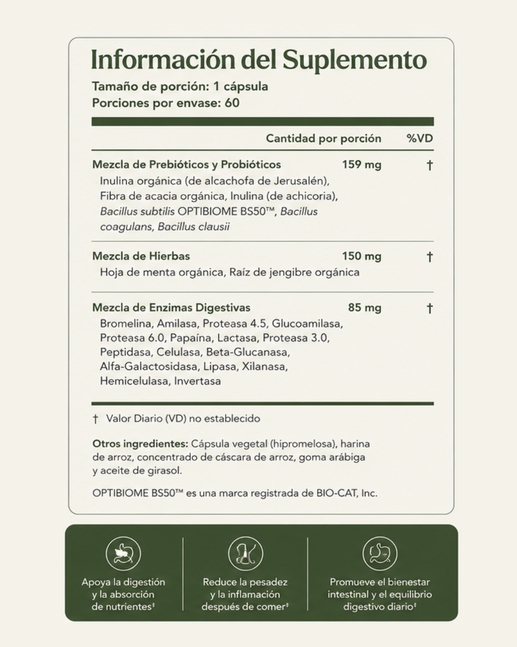 Fórmula Enzimática Avanzada Para Mejorar la Digestión
