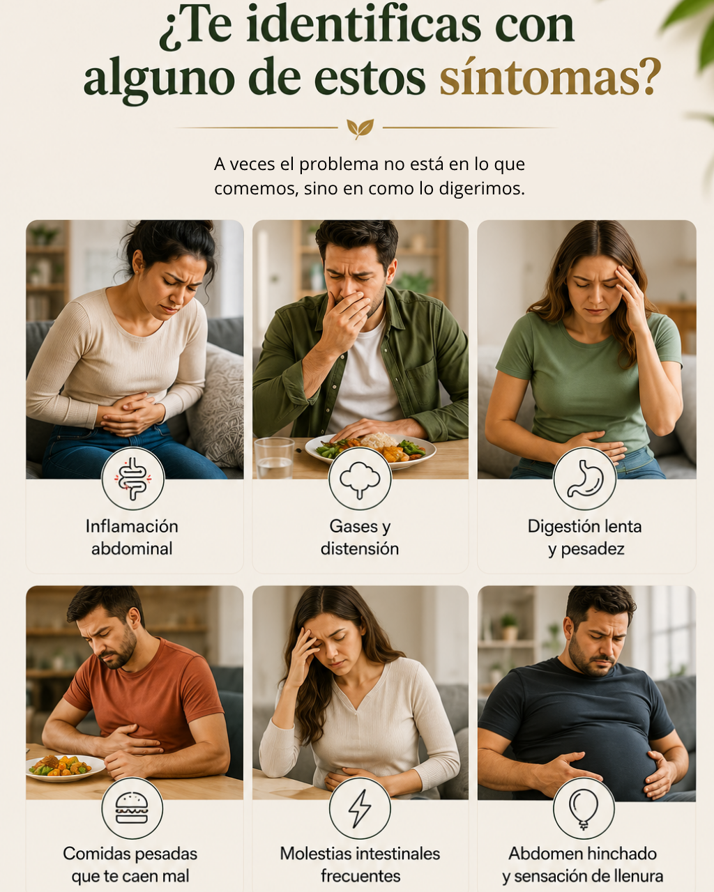 Fórmula Enzimática Avanzada Para Mejorar la Digestión