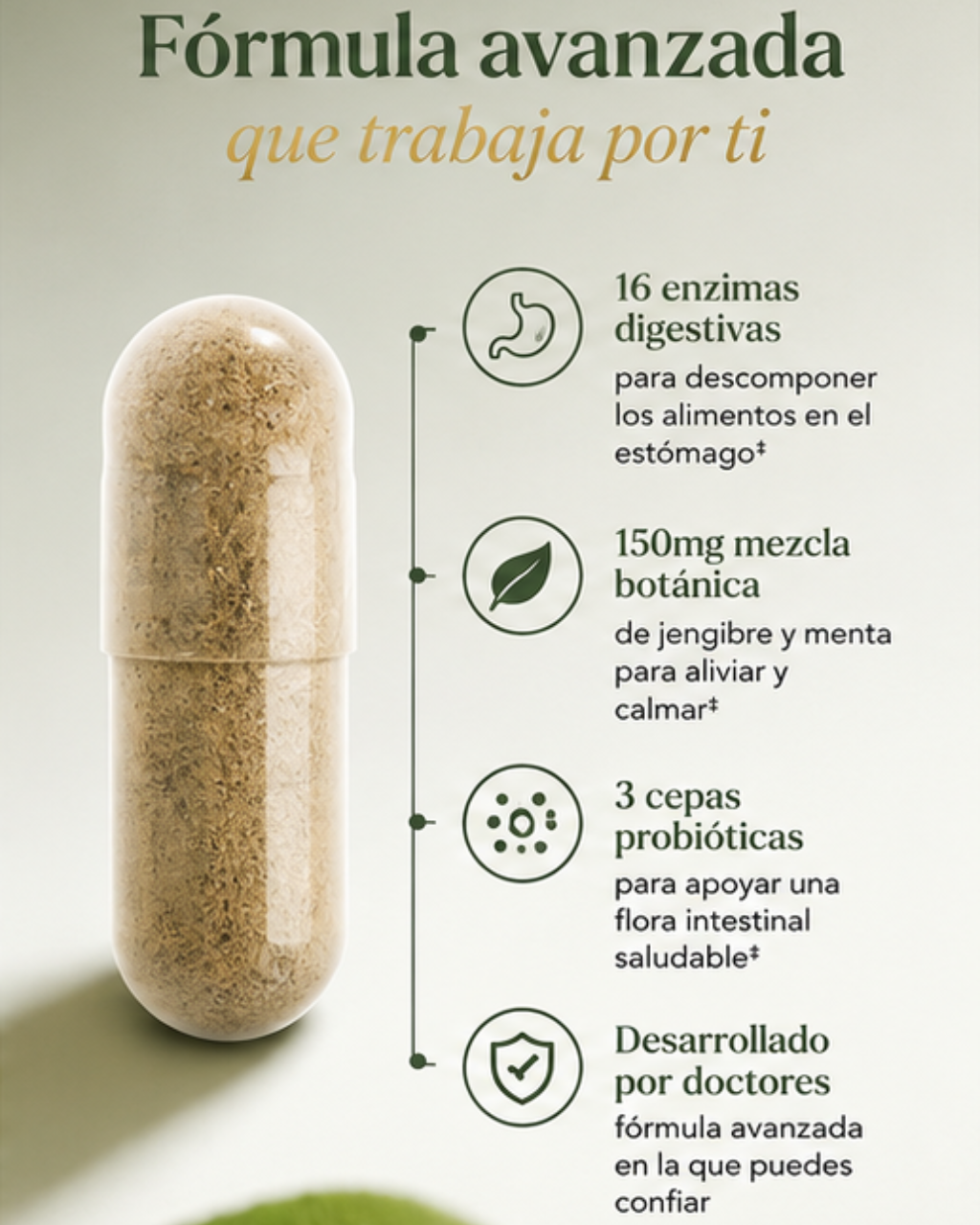 Fórmula Enzimática Avanzada Para Mejorar la Digestión