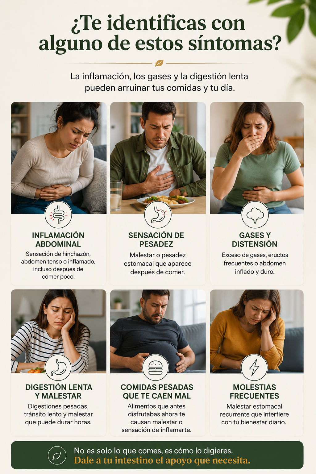 Fórmula Enzimática Avanzada Para Mejorar la Digestión